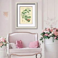 «Rosaceae, Pomeae, Crataegus oxyacantha» в интерьере гостиной в стиле прованс над диваном