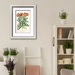 «Alstraemeria argento-vittata» в интерьере комнаты в стиле прованс с цветами лаванды