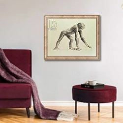 «Dryopithecus Africanus» в интерьере гостиной в бордовых тонах