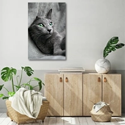 «Серая кошка с голубыми глазами» в интерьере современной комнаты над комодом
