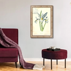 «Spanish Iris» в интерьере гостиной в бордовых тонах