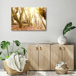 «Дикие леса горы Мальборо, Новая Зеландия» в интерьере современной комнаты над комодом