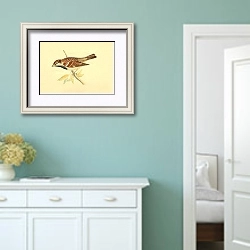 «Italian House Sparrow» в интерьере коридора в стиле прованс в пастельных тонах