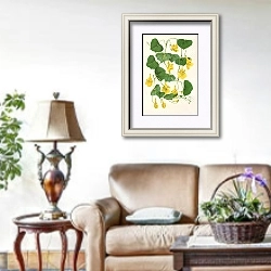 «Tropœolum chrysanthum» в интерьере гостиной в стиле прованс