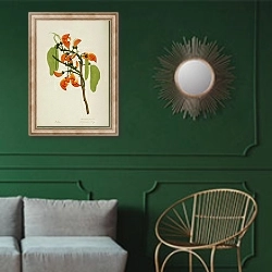 «Butea monosperma» в интерьере классической гостиной с зеленой стеной над диваном