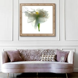 «Gardenia Float, 2011,» в интерьере гостиной в классическом стиле над диваном