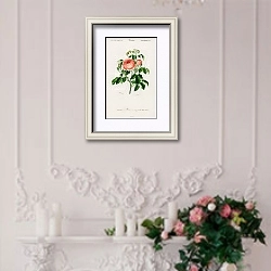 «Роза столистная (Rosa Centifilia) » в интерьере в стиле прованс над камином с лепниной