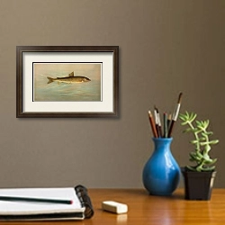 «The Rocky Mountain Whitefish, Coregonus williamsoni.» в интерьере кабинета с бежевыми стенами над столом