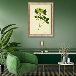 «Ceriops decandra» в интерьере гостиной в зеленых тонах