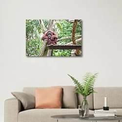 «Отдых орангутана» в интерьере современной светлой гостиной над диваном