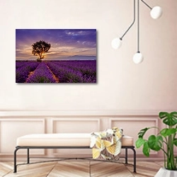 «Дерево в лавандовом поле на рассвете в Провансе, Франция» в интерьере современной прихожей в розовых тонах