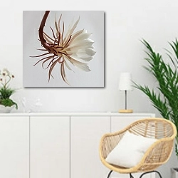 «Белый экзотический цветок» в интерьере гостиной в скандинавском стиле над комодом