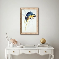 «Blue and yellow Macaw» в интерьере в классическом стиле над столом