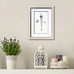 «Iris reticulata, Iris histrio var. orthopetala and Iris Bakeriana» в интерьере в стиле прованс с лавандой и свечами