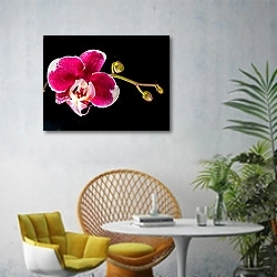 «Цветок розовой орхидеи на черном» в интерьере современной гостиной с желтым креслом