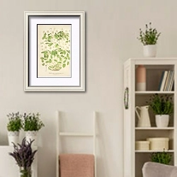 «Thalictrum anemonoides» в интерьере комнаты в стиле прованс с цветами лаванды