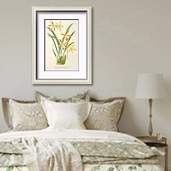 «Odontoglossum Wallisii» в интерьере спальни в стиле прованс над кроватью