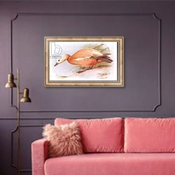 «Ruddy Sheld Duck» в интерьере гостиной с розовым диваном