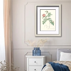 «Rosa Alpina Pendulina» в интерьере спальни в стиле прованс с синими деталями