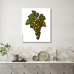 «Гроздь зеленого винограда с листьями» в интерьере кухни в серых тонах