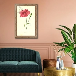 «Indian Pink» в интерьере классической гостиной над диваном