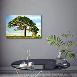 «Раскидистое дерево в Никарагуа 1» в интерьере современной гостиной в серых тонах