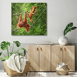 «Орангутаны - акробаты» в интерьере современной комнаты над комодом