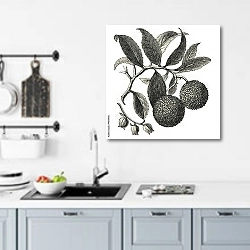 «Земляничное дерево» в интерьере кухни над мойкой
