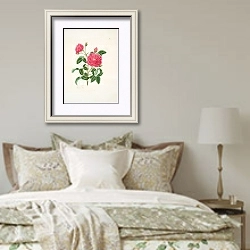 «Rosa centifolia2» в интерьере спальни в стиле прованс над кроватью