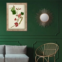 «Bauhinia purpurea» в интерьере классической гостиной с зеленой стеной над диваном