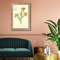 «Turk's Cap or Yellow Martagon Lily» в интерьере классической гостиной над диваном