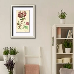 «Lilium Speciosum, Pentstemon Heterophyllum, Lophospermum Scandens 1» в интерьере комнаты в стиле прованс с цветами лаванды