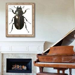 «Stag Beetle, 2011» в интерьере классической гостиной над камином
