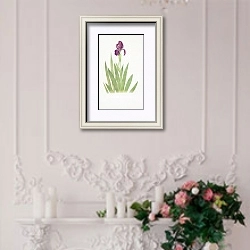 «Iris subbiflora» в интерьере в стиле прованс над камином с лепниной