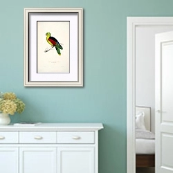 «Parrots by E.Lear  #11» в интерьере коридора в стиле прованс в пастельных тонах