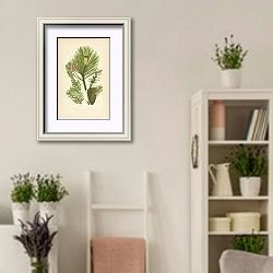 «Scotch Pine, Juniper, Yew» в интерьере комнаты в стиле прованс с цветами лаванды