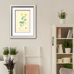 «Ranunculus Hirsutus. Hairy Crowfoot. 1» в интерьере комнаты в стиле прованс с цветами лаванды