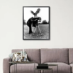 «История в черно-белых фото 584» в интерьере в скандинавском стиле над диваном