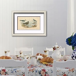 «Black Toed Gull, Richardson's Skua, Glaucous, Gull, Black Tern, Lesser Tern» в интерьере столовой в стиле прованс над столом