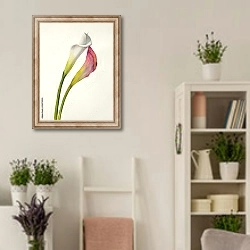 «Два акварельных цветка калла» в интерьере комнаты в стиле прованс с цветами лаванды