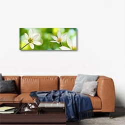 «Красивые белые цветы на зеленом фоне крупным планом» в интерьере современной гостиной над диваном