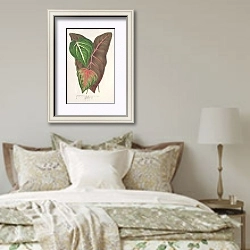 «Caladium variétés» в интерьере спальни в стиле прованс над кроватью