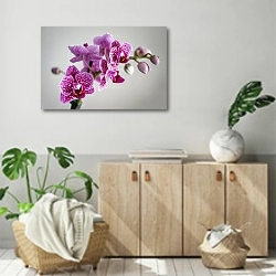 «Розовая пятнистая орхидея» в интерьере современной комнаты над комодом