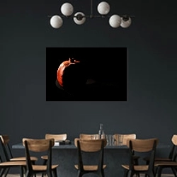 «Гранат в темной тональности» в интерьере столовой с черными стенами