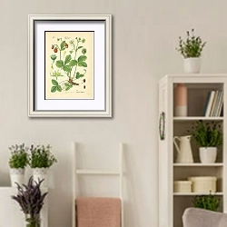 «Rosaceae, Potentilleae, Fragaria vesca» в интерьере комнаты в стиле прованс с цветами лаванды