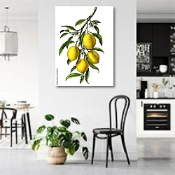 «Лимонная ветвь с 4 лимонами» в интерьере современной светлой кухни