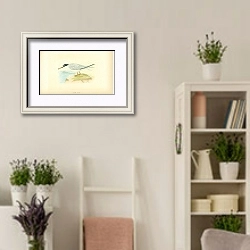 «Lesser Tern 1» в интерьере комнаты в стиле прованс с цветами лаванды