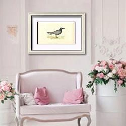 «Black Tern 1» в интерьере гостиной в стиле прованс над диваном