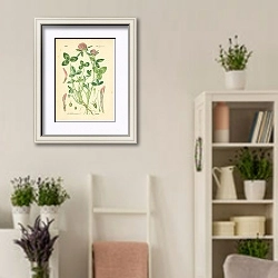 «Leguminosae, Trifolium pratense» в интерьере комнаты в стиле прованс с цветами лаванды