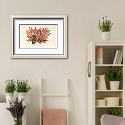 «Alternanthera sessilis var. amœna» в интерьере комнаты в стиле прованс с цветами лаванды